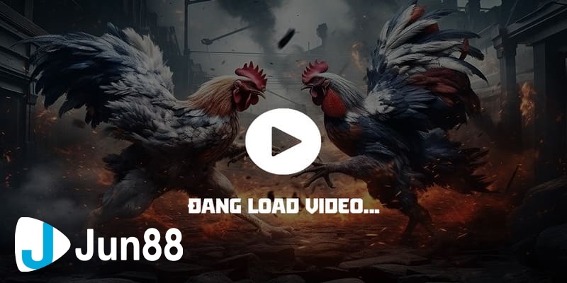 trực tiếp đá gà cựa sắt hôm nay trực tiếp đá gà cựa sắt hôm nay