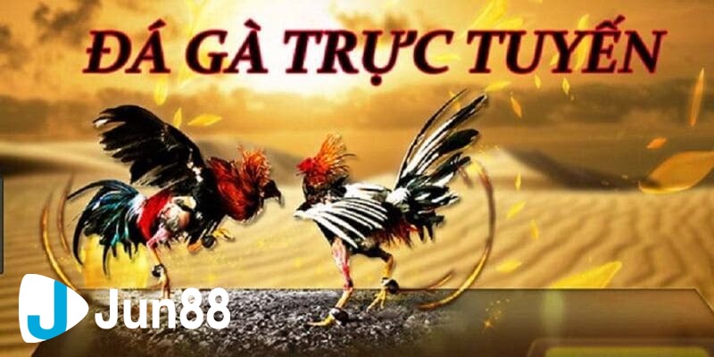 trực tiếp đá gà cựa sắt hôm nay