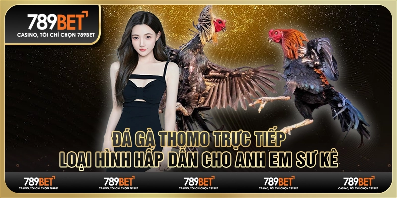 Đá Gà Thomo Trực Tiếp - Loại Hình Hấp Dẫn Cho Anh Em Sư Kê