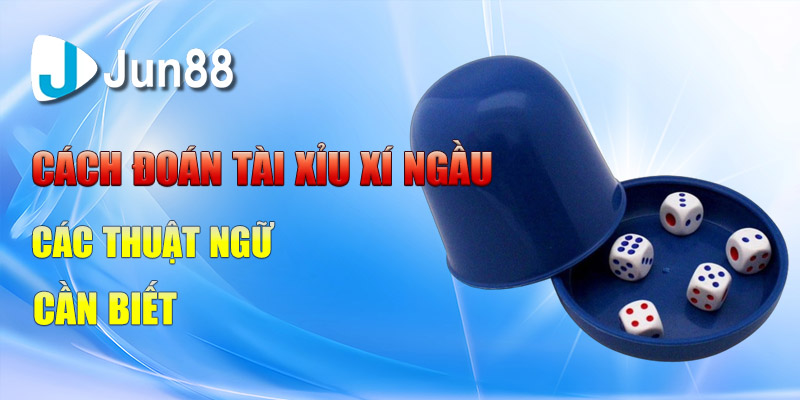 cach doan tai xiu xi ngau cac thuat ngu can biet