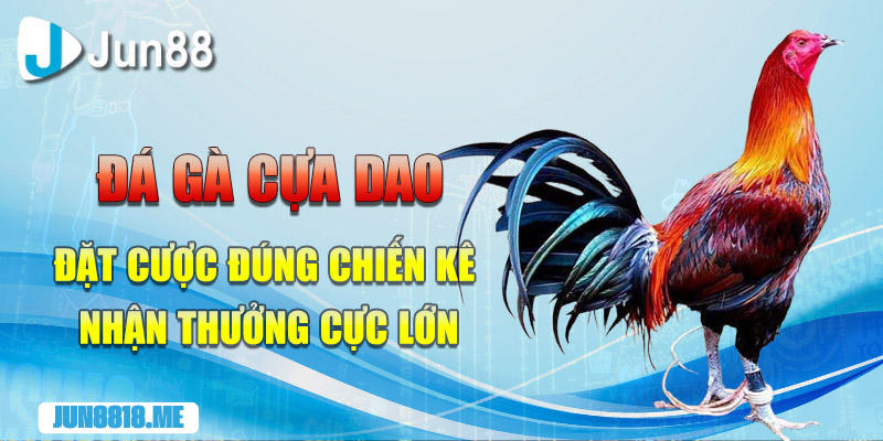 da ga cua dao dat cuoc dung chien ke nhan thuong cuc lon
