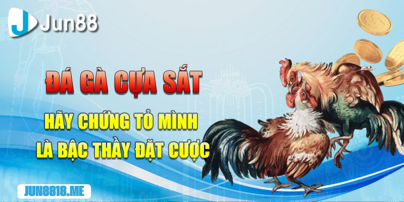 da ga cua sat hay chung to minh la bac thay dat cuoc