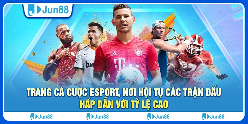 10 trang ca cuoc esport noi hoi tu cac tran dau hap dan voi ty le cao