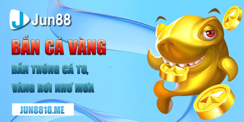 ban ca vang ban trung ca to vang roi nhu mua