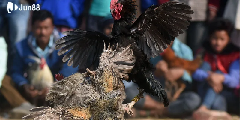 Tìm hiểu sảnh chơi