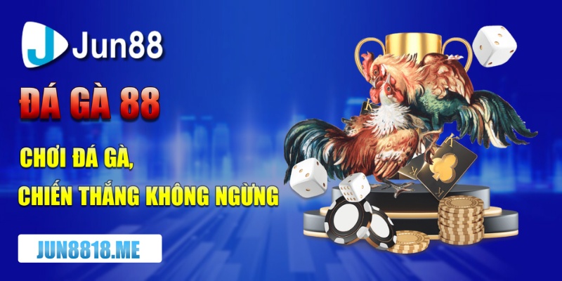 da ga 88 choi da ga chien thang khong ngung