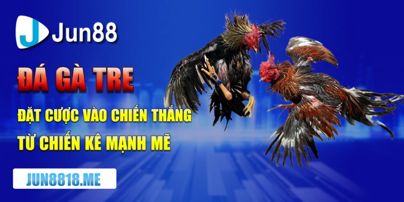 da ga tre dat cuoc vao chien thang tu chien ke manh me