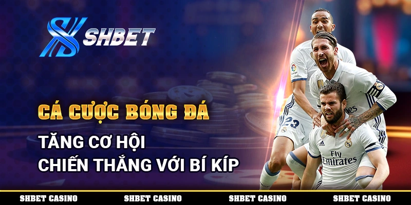 Cá Cược Bóng Đá