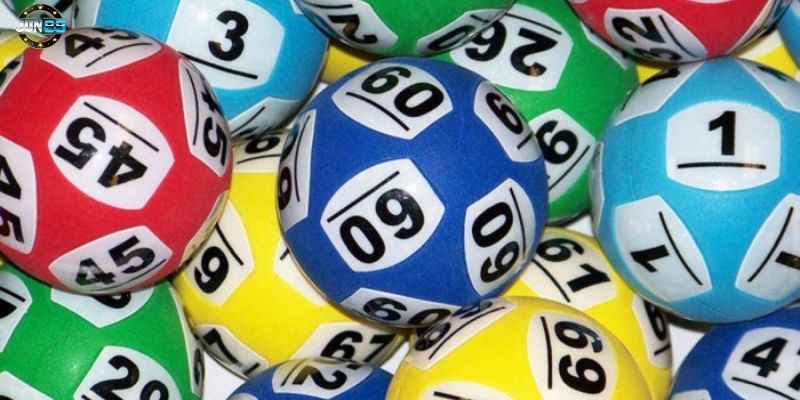 anh 1 2025 02 08T012218.652