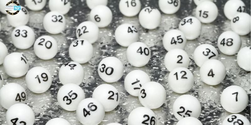 anh 2 2025 02 08T011540.747