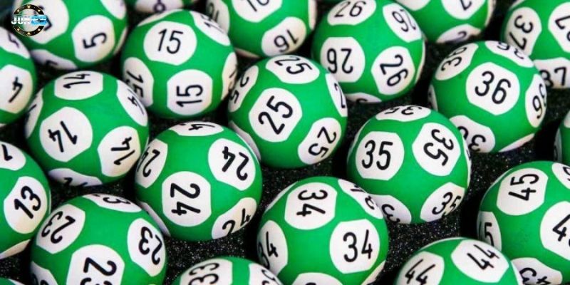 anh 3 2025 02 08T011604.990