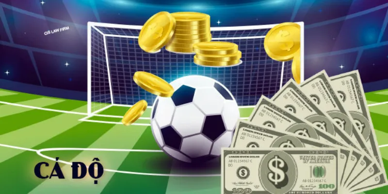 Chiến lược đặt cược an toàn dựa trên tỷ lệ kèo Copa do Brasil