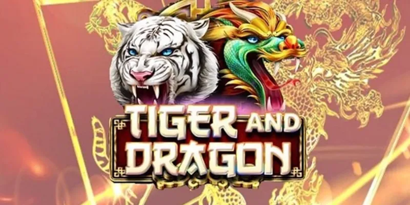 Sai lầm cần tránh khi dùng mẹo đánh rồng hổ