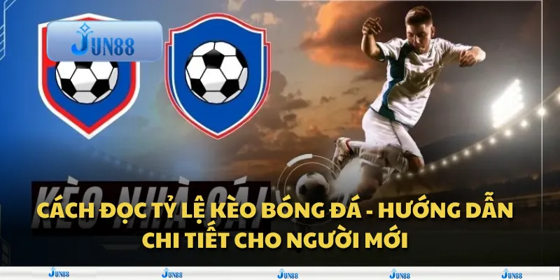 Cách đọc tỷ lệ kèo bóng đá - Hướng dẫn chi tiết cho người mới