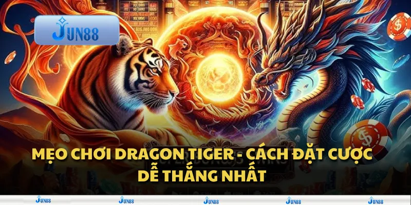Mẹo chơi Dragon Tiger - cách đặt cược dễ thắng nhất