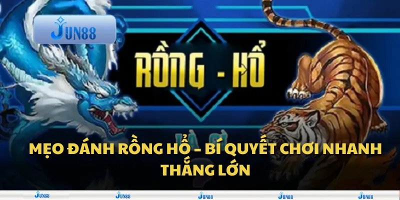 Mẹo đánh rồng hổ – Bí quyết chơi nhanh thắng lớn 10 Mẹo đánh rồng hổ – Bí quyết chơi nhanh thắng lớn