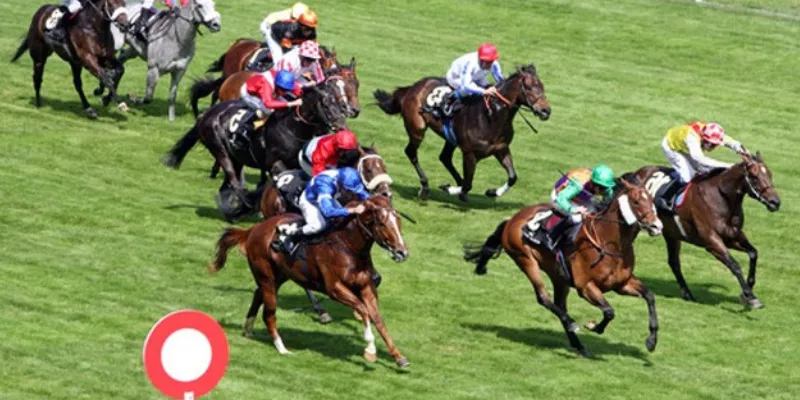 Những hình thức cược phổ biến trong đua ngựa