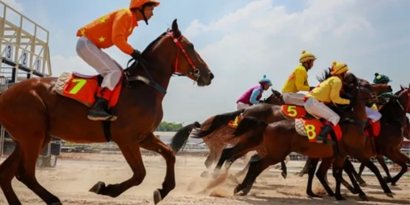 Tìm hiểu quy tắc cơ bản của cá cược đua ngựa